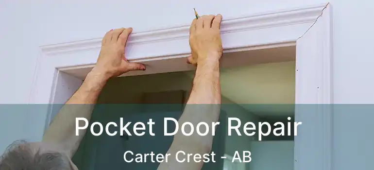  Pocket Door Repair Carter Crest - AB