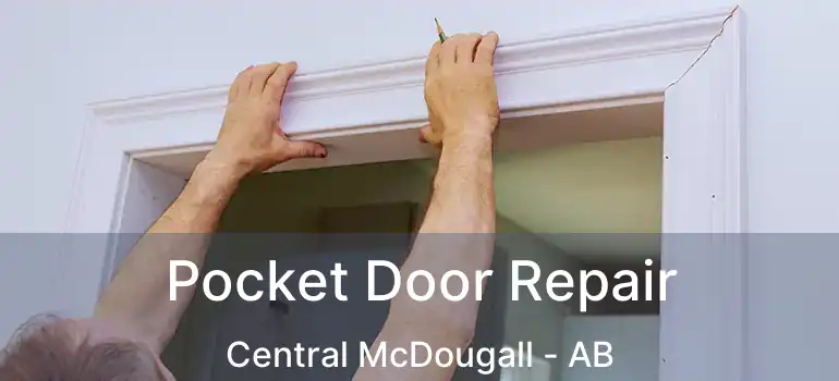  Pocket Door Repair Central McDougall - AB