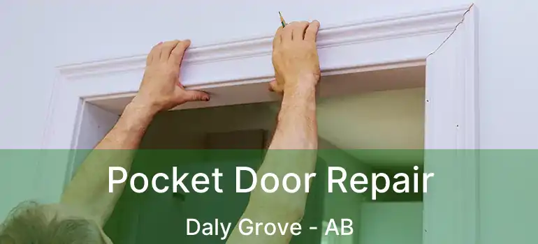  Pocket Door Repair Daly Grove - AB