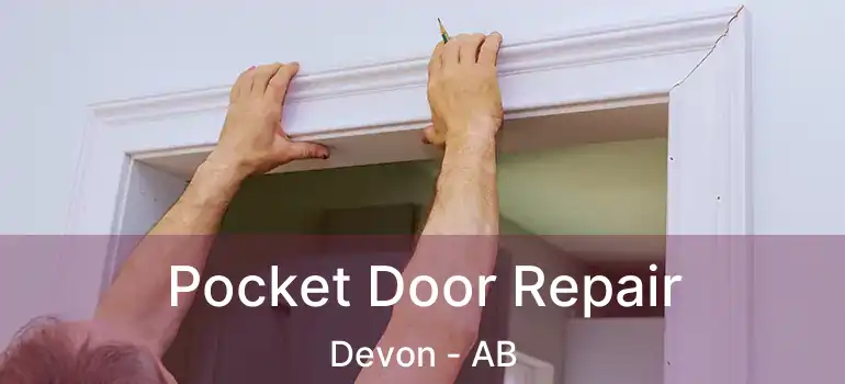  Pocket Door Repair Devon - AB