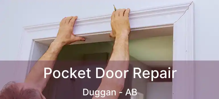  Pocket Door Repair Duggan - AB