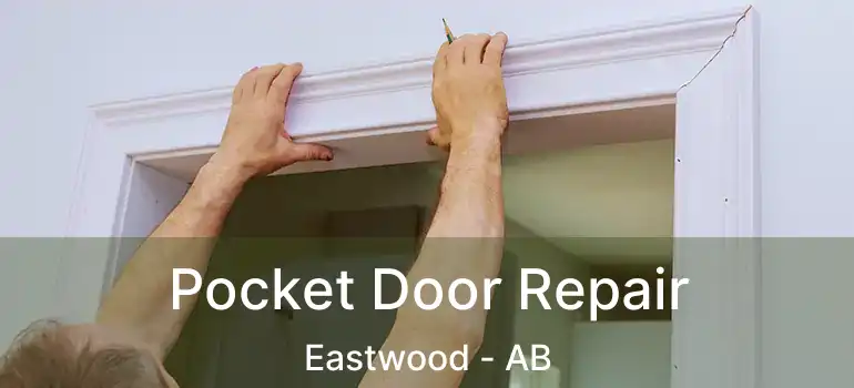  Pocket Door Repair Eastwood - AB
