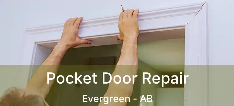  Pocket Door Repair Evergreen - AB