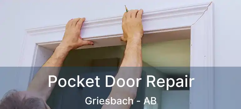  Pocket Door Repair Griesbach - AB