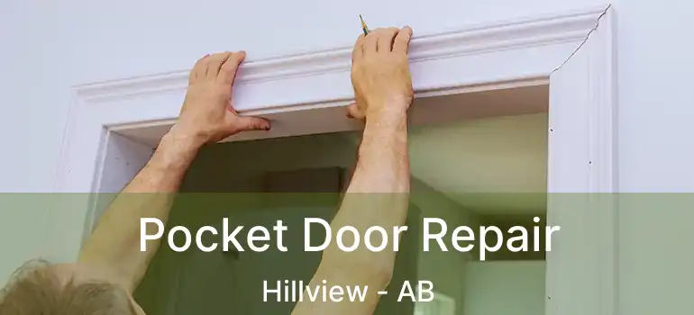  Pocket Door Repair Hillview - AB