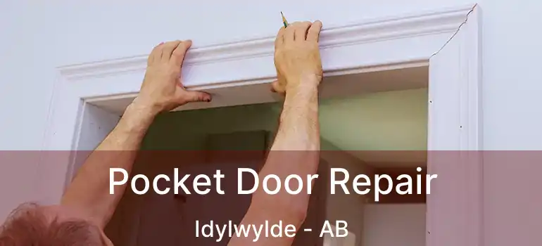  Pocket Door Repair Idylwylde - AB