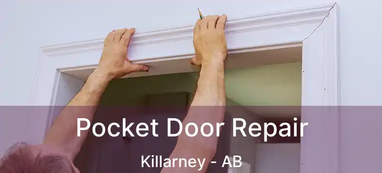  Pocket Door Repair Killarney - AB