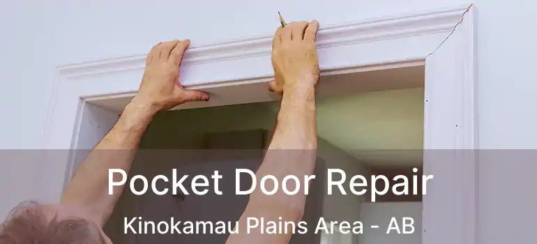  Pocket Door Repair Kinokamau Plains Area - AB