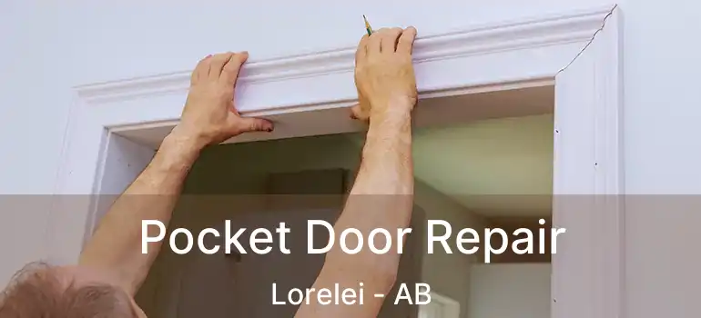  Pocket Door Repair Lorelei - AB