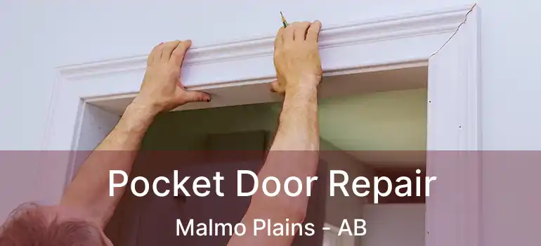  Pocket Door Repair Malmo Plains - AB