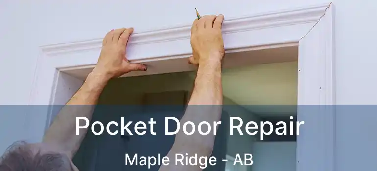  Pocket Door Repair Maple Ridge - AB