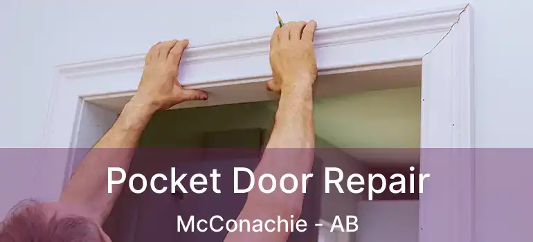  Pocket Door Repair McConachie - AB