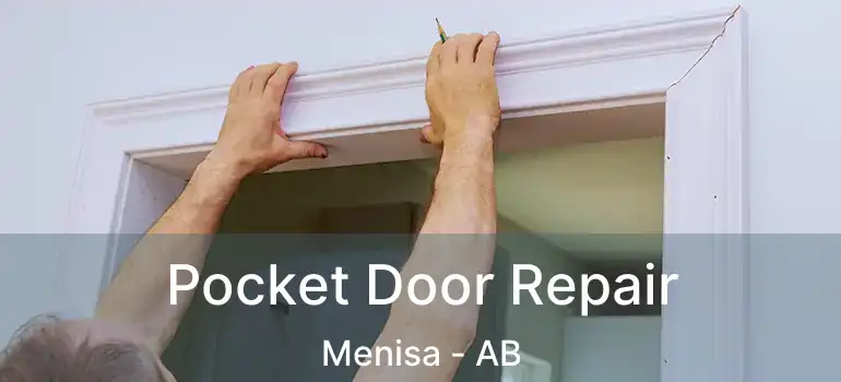  Pocket Door Repair Menisa - AB