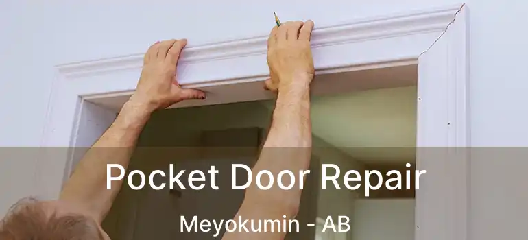  Pocket Door Repair Meyokumin - AB