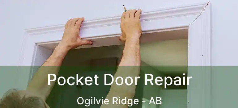  Pocket Door Repair Ogilvie Ridge - AB