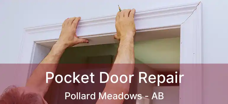  Pocket Door Repair Pollard Meadows - AB