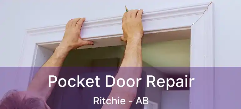  Pocket Door Repair Ritchie - AB