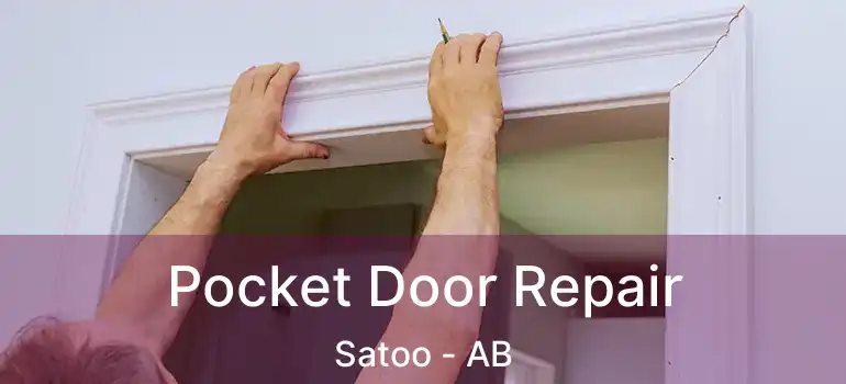  Pocket Door Repair Satoo - AB