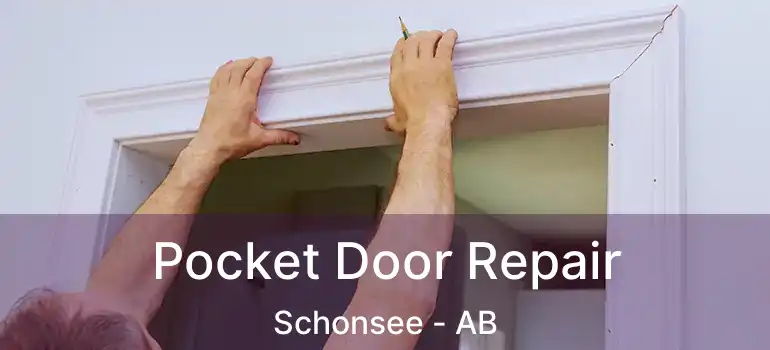  Pocket Door Repair Schonsee - AB