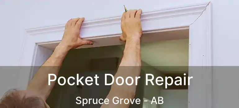  Pocket Door Repair Spruce Grove - AB