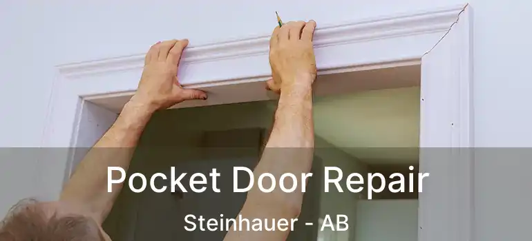  Pocket Door Repair Steinhauer - AB