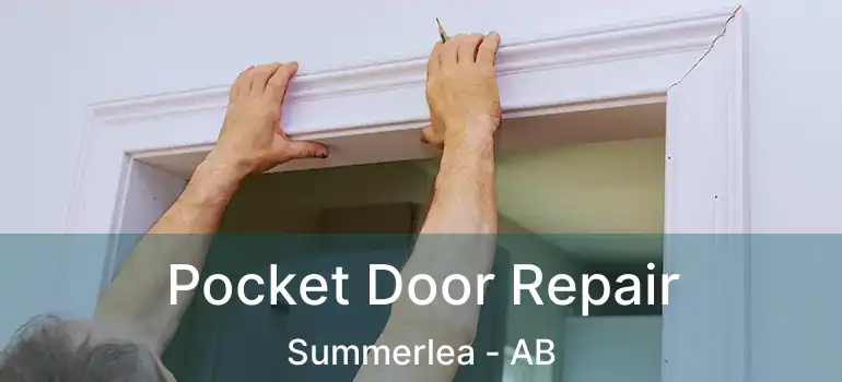  Pocket Door Repair Summerlea - AB