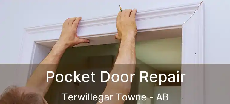  Pocket Door Repair Terwillegar Towne - AB