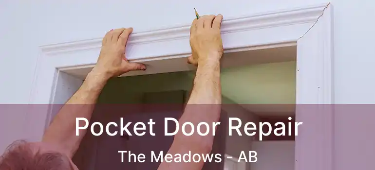  Pocket Door Repair The Meadows - AB