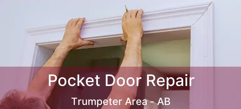  Pocket Door Repair Trumpeter Area - AB