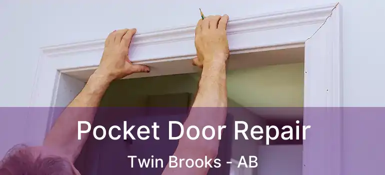  Pocket Door Repair Twin Brooks - AB