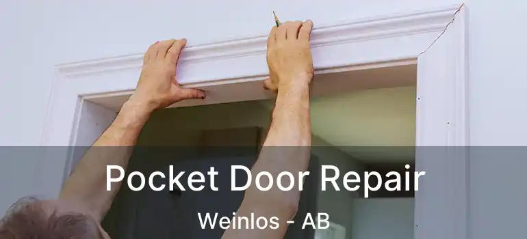  Pocket Door Repair Weinlos - AB