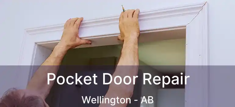  Pocket Door Repair Wellington - AB