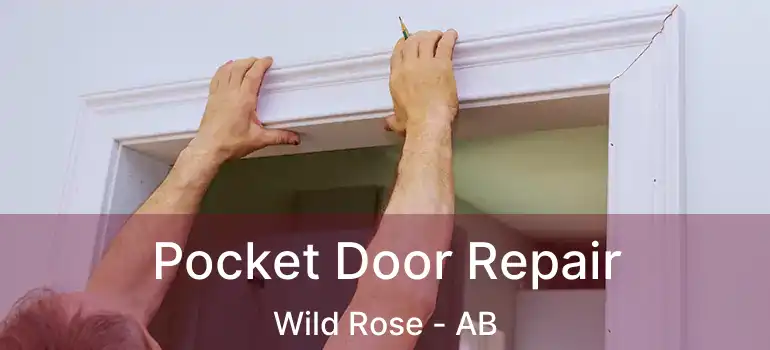  Pocket Door Repair Wild Rose - AB