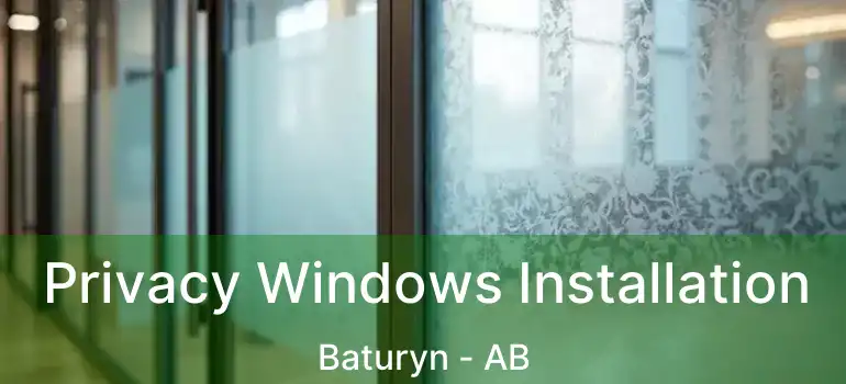  Privacy Windows Installation Baturyn - AB