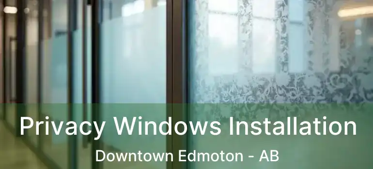  Privacy Windows Installation Downtown Edmoton - AB