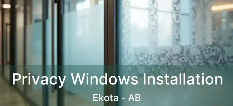  Privacy Windows Installation Ekota - AB