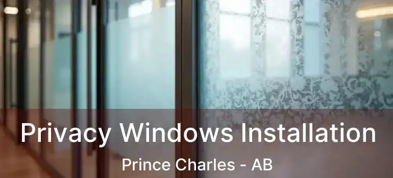  Privacy Windows Installation Prince Charles - AB