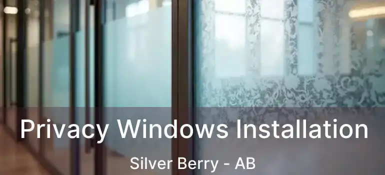  Privacy Windows Installation Silver Berry - AB