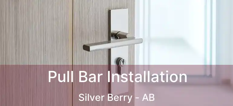  Pull Bar Installation Silver Berry - AB