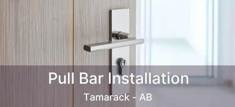  Pull Bar Installation Tamarack - AB