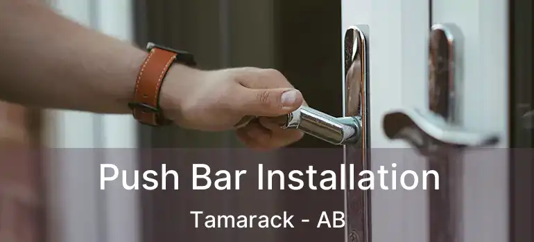  Push Bar Installation Tamarack - AB