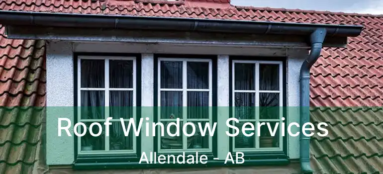  Roof Window Services Allendale - AB