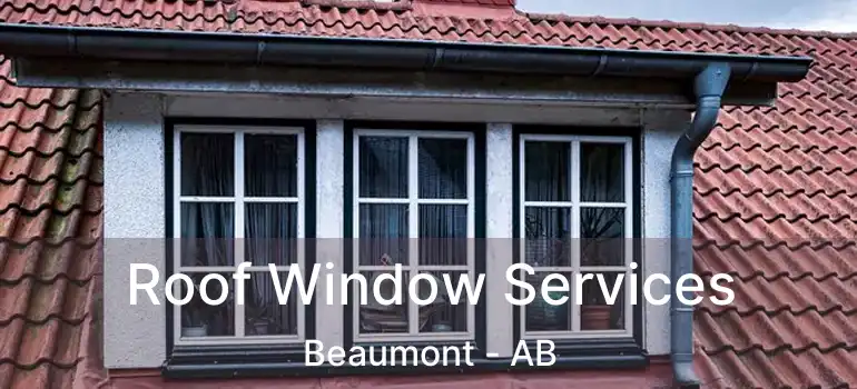  Roof Window Services Beaumont - AB