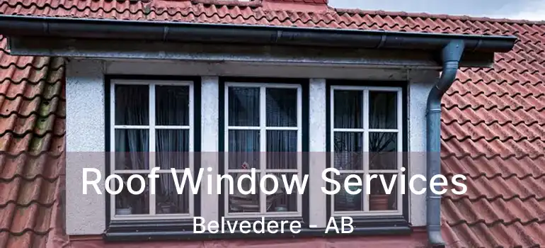  Roof Window Services Belvedere - AB