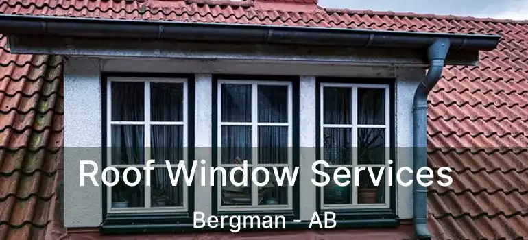  Roof Window Services Bergman - AB