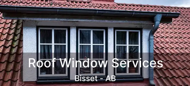  Roof Window Services Bisset - AB