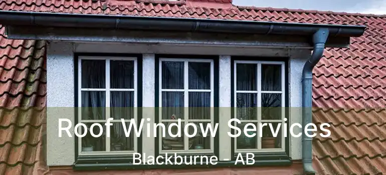  Roof Window Services Blackburne - AB