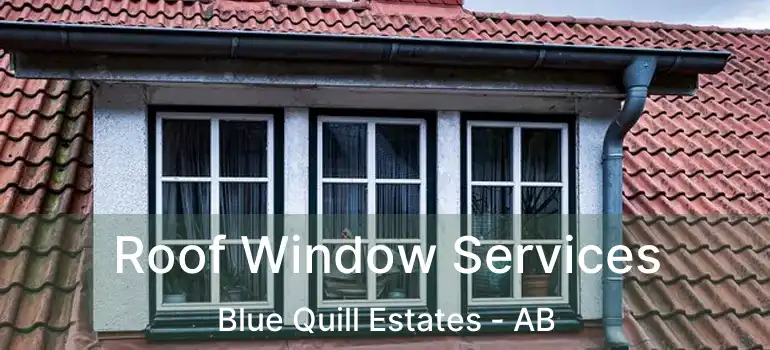  Roof Window Services Blue Quill Estates - AB