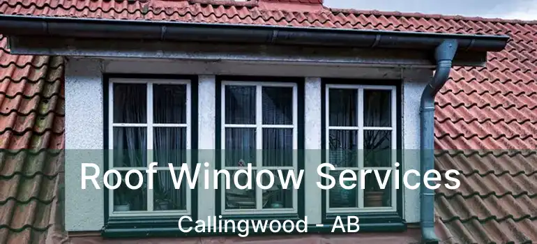  Roof Window Services Callingwood - AB