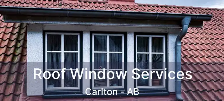  Roof Window Services Carlton - AB